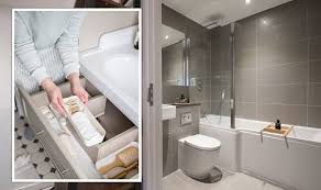 Bathroom Problem