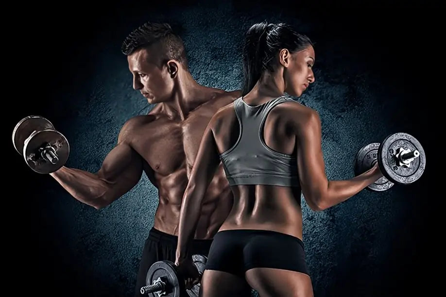 Fitness Accesories